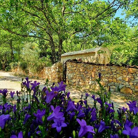 Le Donjon Des Combes Et Son Spa Fayence Zewnętrze zdjęcie